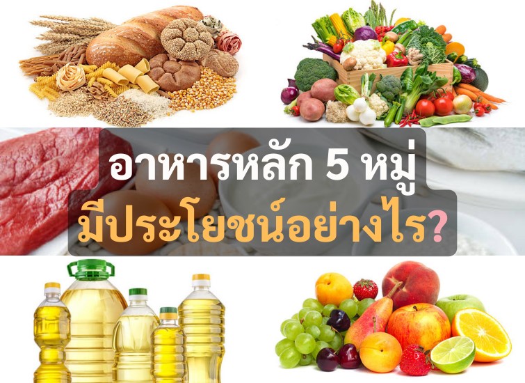 สารอาหารหลัก 5 หมู่ มีประโยชน์อย่างไร - Kigkok
